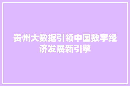 贵州大数据引领中国数字经济发展新引擎