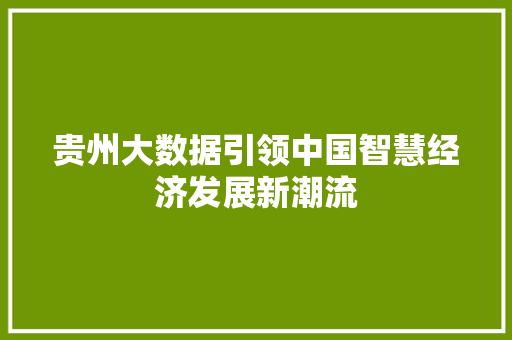 贵州大数据引领中国智慧经济发展新潮流