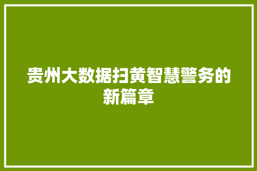 贵州大数据扫黄智慧警务的新篇章 SEO教程