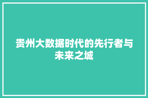 贵州大数据时代的先行者与未来之城