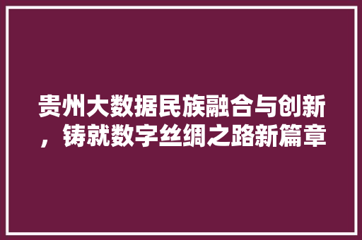 贵州大数据民族融合与创新，铸就数字丝绸之路新篇章 服务器/数据库