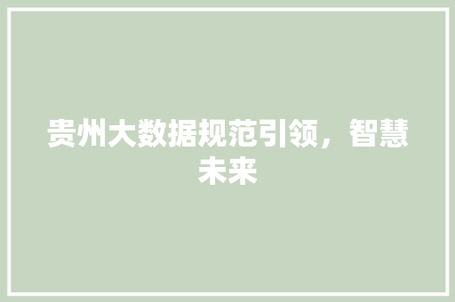 贵州大数据规范引领，智慧未来