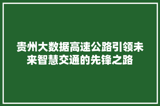 贵州大数据高速公路引领未来智慧交通的先锋之路