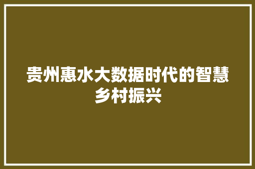 贵州惠水大数据时代的智慧乡村振兴 Web前端
