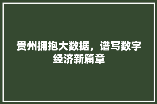 贵州拥抱大数据，谱写数字经济新篇章