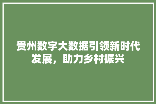 贵州数字大数据引领新时代发展，助力乡村振兴