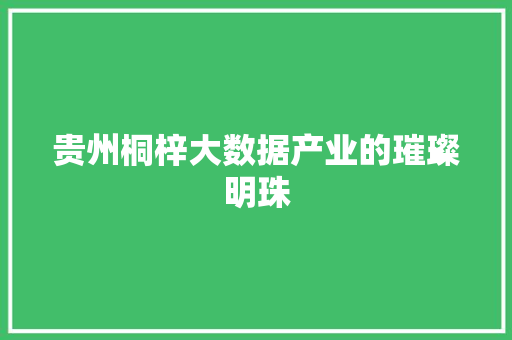 贵州桐梓大数据产业的璀璨明珠