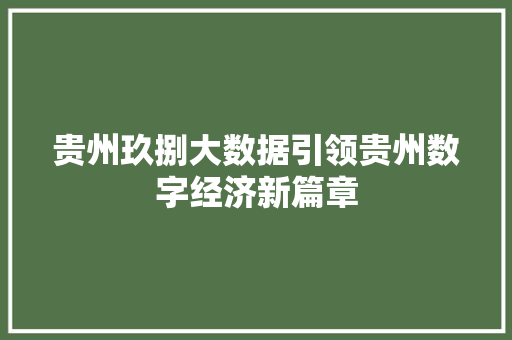 贵州玖捌大数据引领贵州数字经济新篇章