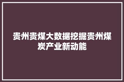 贵州贵煤大数据挖掘贵州煤炭产业新动能 友链在线
