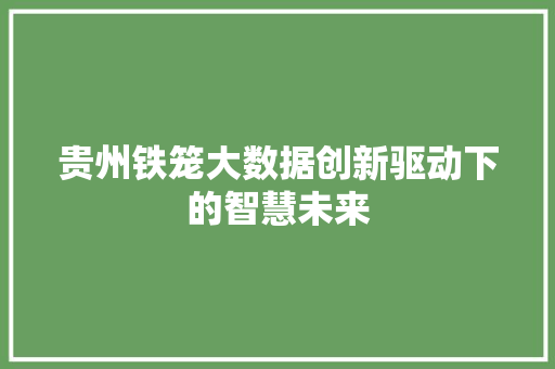 贵州铁笼大数据创新驱动下的智慧未来 SEO教程