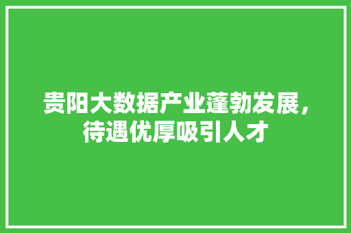 贵阳大数据产业蓬勃发展，待遇优厚吸引人才