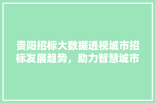贵阳招标大数据透视城市招标发展趋势，助力智慧城市建设