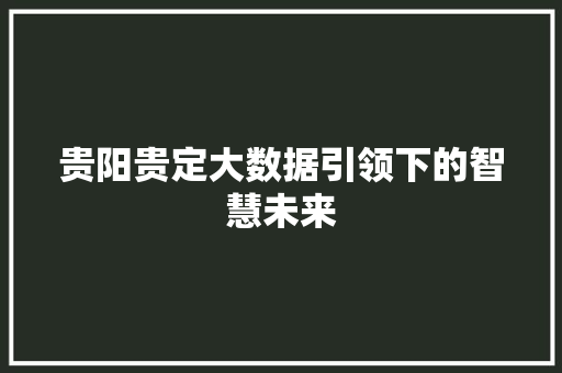 贵阳贵定大数据引领下的智慧未来 Web前端
