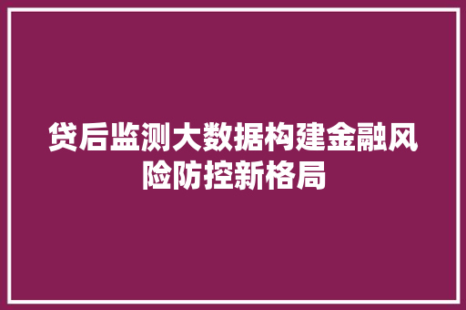 贷后监测大数据构建金融风险防控新格局