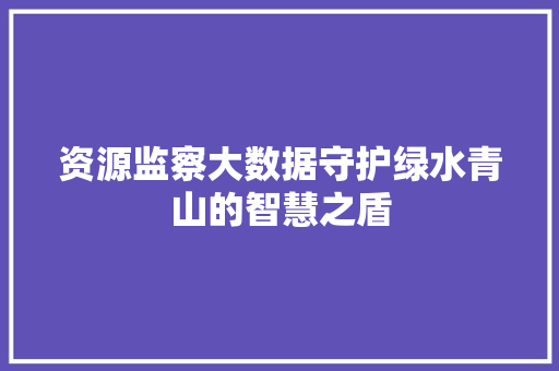 资源监察大数据守护绿水青山的智慧之盾