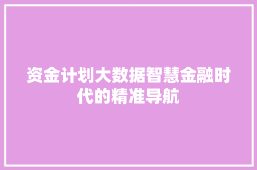 资金计划大数据智慧金融时代的精准导航