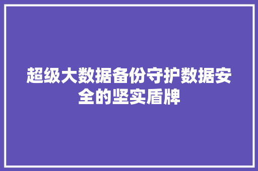超级大数据备份守护数据安全的坚实盾牌 WordPress教程
