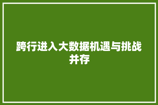 跨行进入大数据机遇与挑战并存 建站教程