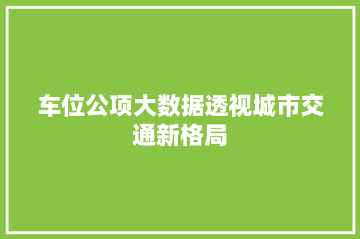车位公项大数据透视城市交通新格局