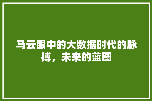 马云眼中的大数据时代的脉搏，未来的蓝图