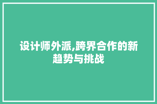 设计师外派,跨界合作的新趋势与挑战