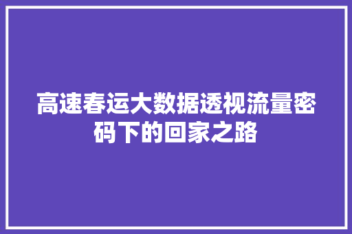 高速春运大数据透视流量密码下的回家之路