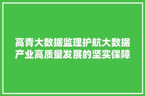 高青大数据监理护航大数据产业高质量发展的坚实保障 友链在线