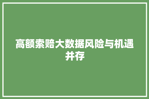 高额索赔大数据风险与机遇并存