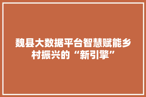 魏县大数据平台智慧赋能乡村振兴的“新引擎”