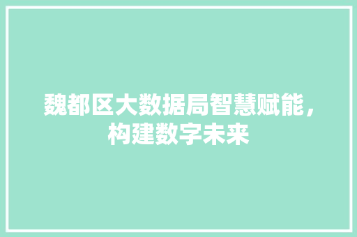 魏都区大数据局智慧赋能，构建数字未来
