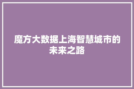 魔方大数据上海智慧城市的未来之路 Web前端