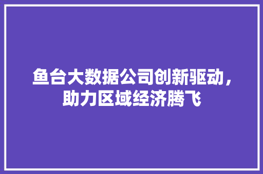 鱼台大数据公司创新驱动，助力区域经济腾飞