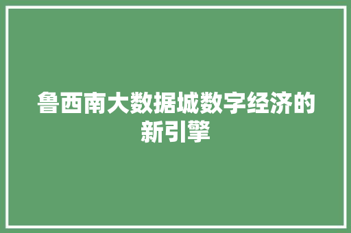 鲁西南大数据城数字经济的新引擎
