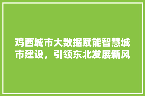 鸡西城市大数据赋能智慧城市建设，引领东北发展新风尚