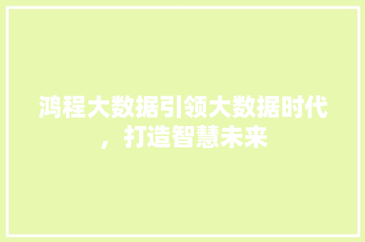 鸿程大数据引领大数据时代，打造智慧未来