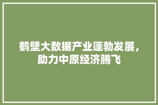 鹤壁大数据产业蓬勃发展，助力中原经济腾飞