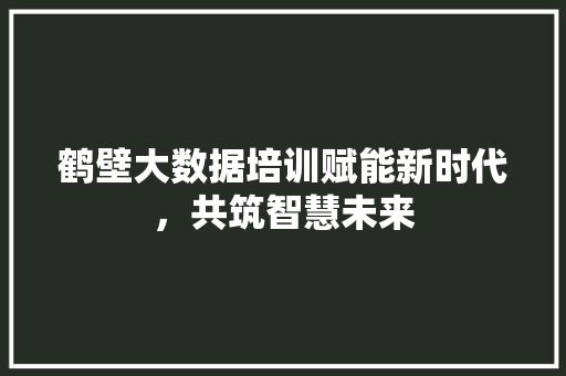 鹤壁大数据培训赋能新时代，共筑智慧未来