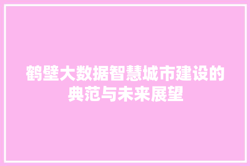 鹤壁大数据智慧城市建设的典范与未来展望 WordPress教程