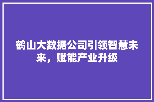 鹤山大数据公司引领智慧未来，赋能产业升级