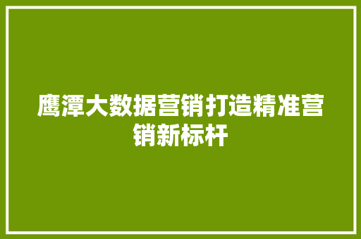 鹰潭大数据营销打造精准营销新标杆