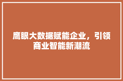 鹰眼大数据赋能企业，引领商业智能新潮流