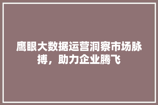 鹰眼大数据运营洞察市场脉搏，助力企业腾飞 友链在线