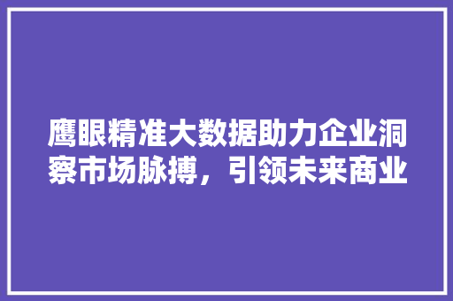 鹰眼精准大数据助力企业洞察市场脉搏，引领未来商业变革 服务器/数据库