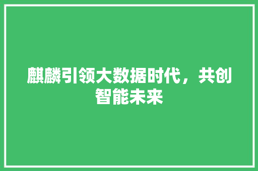 麒麟引领大数据时代，共创智能未来 WordPress教程