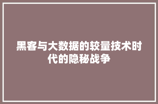 黑客与大数据的较量技术时代的隐秘战争