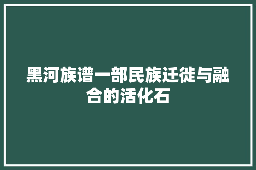 黑河族谱一部民族迁徙与融合的活化石 Web前端