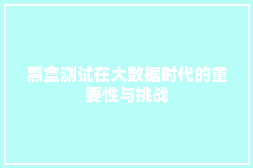 黑盒测试在大数据时代的重要性与挑战 SEO教程