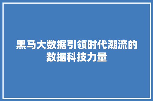 黑马大数据引领时代潮流的数据科技力量 SEO教程