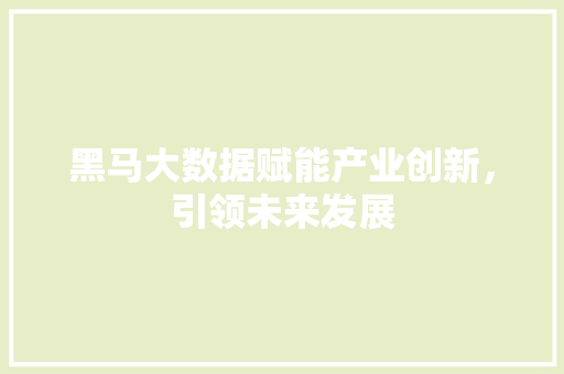 黑马大数据赋能产业创新，引领未来发展 WordPress教程