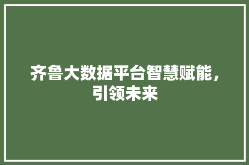 齐鲁大数据平台智慧赋能，引领未来